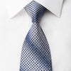 Indian Homme Rhinestone Necktie Silver Hounds Tooth Paisley 