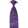 Nicole St Giles Rhinestone Silk Necktie Paisley On Purple 
