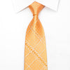 Pierre Cardin Men’s Silk Rhinestone Necktie Silver Dots On 