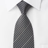 Vigevano Silk Necktie Silver Trellis & Striped Rhinestones 